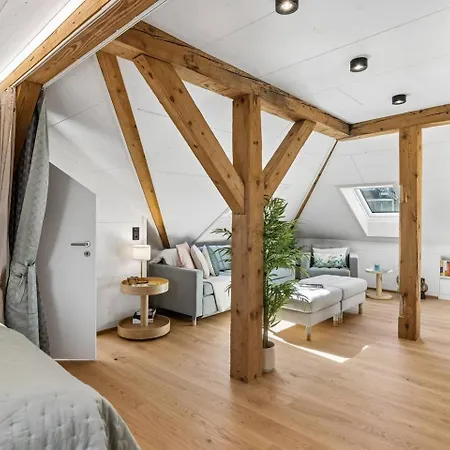 Waterfront Penthouse Ac Rooftop Free Parking * Zurigo